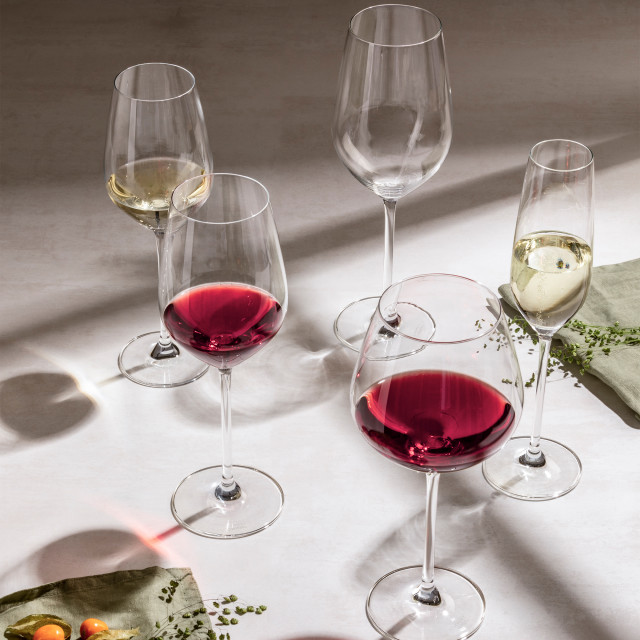 Schott Zwiesel Fortissimo Burgundy Goblets, Set of 4 with other glasses