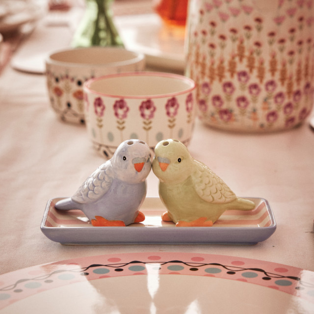 Cath Kidston Budgie Salt & Pepper Shakers, Set of 2 on the table