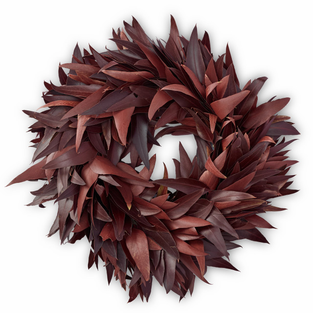 Andrea's Topiaries Bluegum Wreath, 50cm - Burgandy