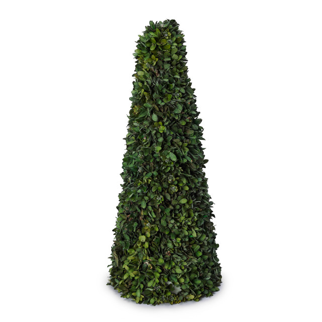 Andrea's Topiaries Buxi Tree, 43cm - Green
