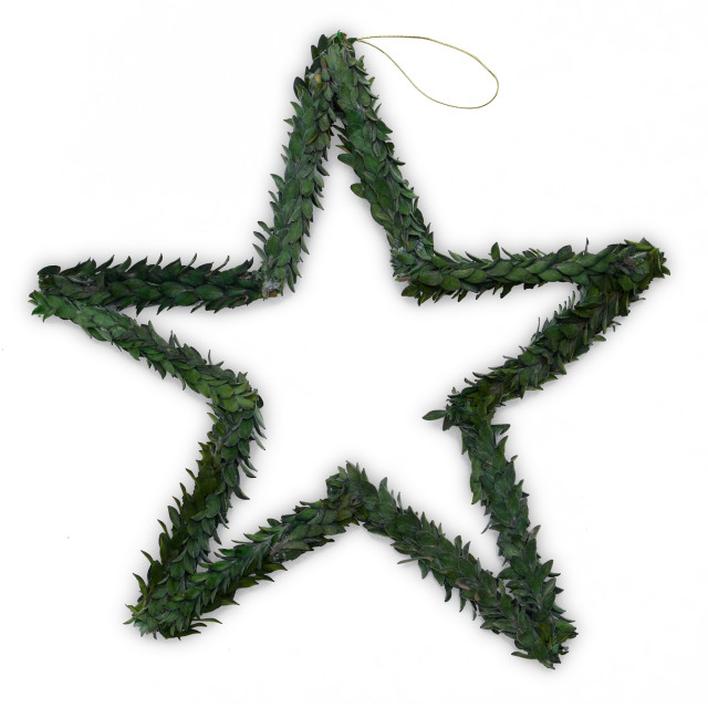Andrea's Topiaries Green Buxi Star, 32cm