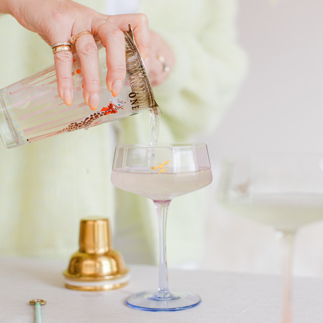 Yvonne Ellen Cocktail Shaker, 385ml with a cocktail glass