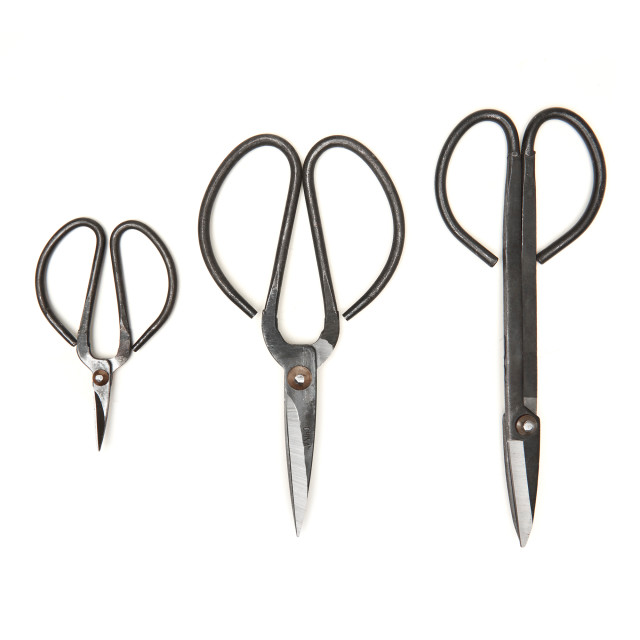 Kikkerland Garden Scissor Set, 3-Piece