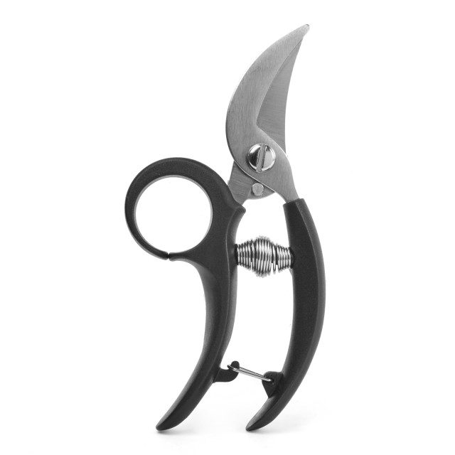 Kikkerland Garden Shears