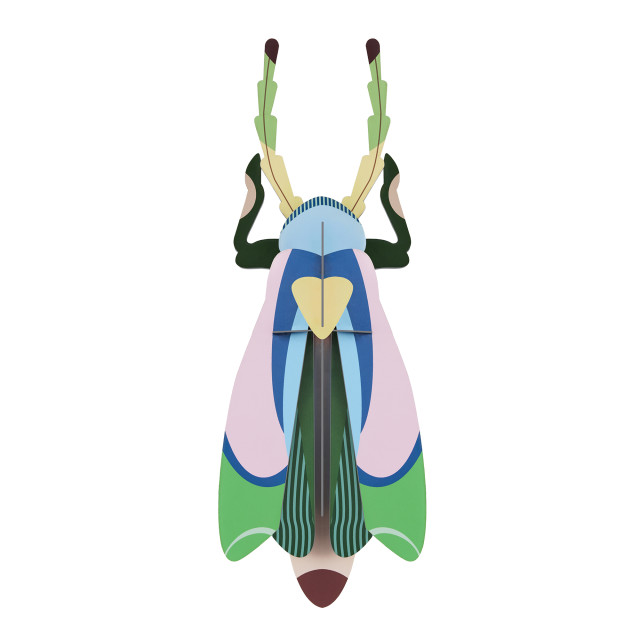 Studio ROOF Big Insects Sakura Beetle Paper Wall Art