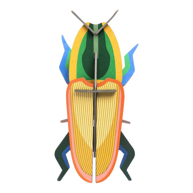 Studio ROOF Small Insects Madagascar Beetle Paper Wall Decor