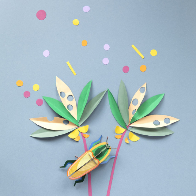 Studio ROOF Small Insects Madagascar Beetle Paper Wall Decor