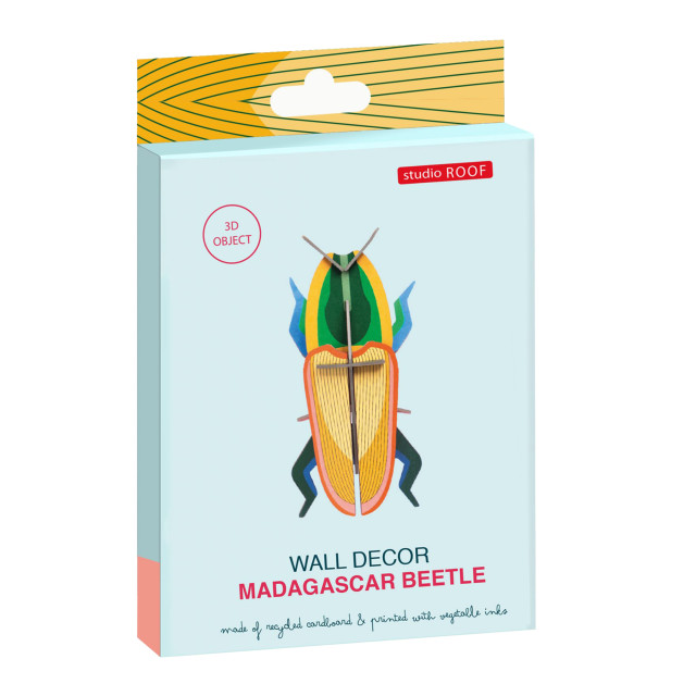 Studio ROOF Small Insects Madagascar Beetle Paper Wall Decor