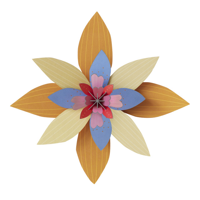 Studio ROOF Apricot Sorbet Flower Paper Wall Art
