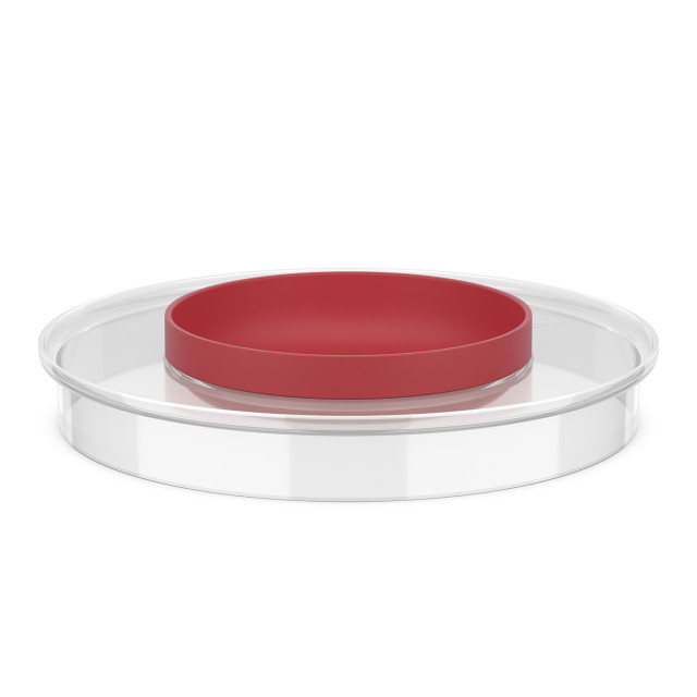 Mepal Splashproof Lid For Chef It Mixing Bowl, 3L - Coral