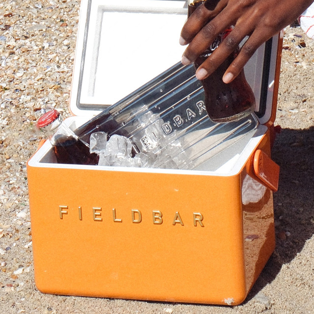 Fieldbar Ice Bars, Set of 2 in mini bar