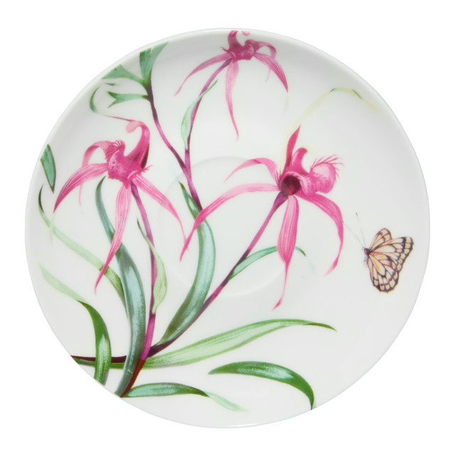 Maxwell & Williams Eloise Short Lyric Cup & Saucer, 240ml - Spinebill Honeyeater detail of the saucer
