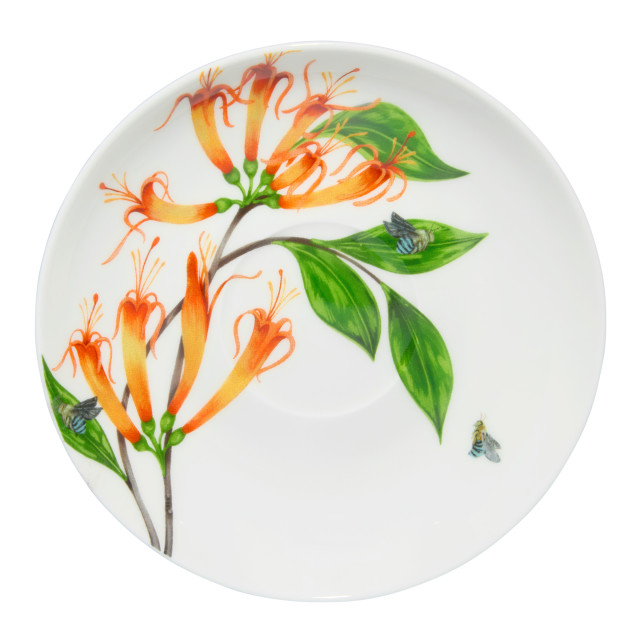 Maxwell & Williams Eloise Short Lyric Cup & Saucer, 240ml - Regent Honeyeater detail of the saucer