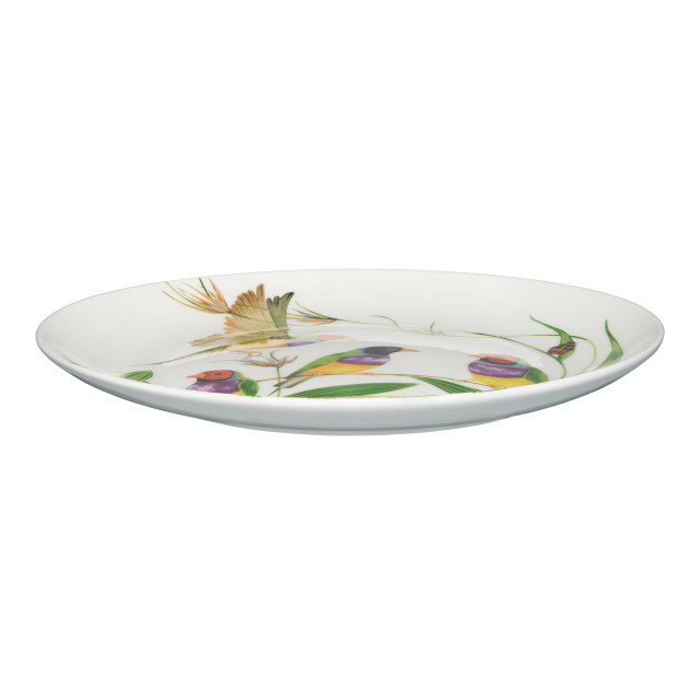 Maxwell & Williams Eloise Short Lyric Coupe Plate, 20cm - Gouldian Finch angle