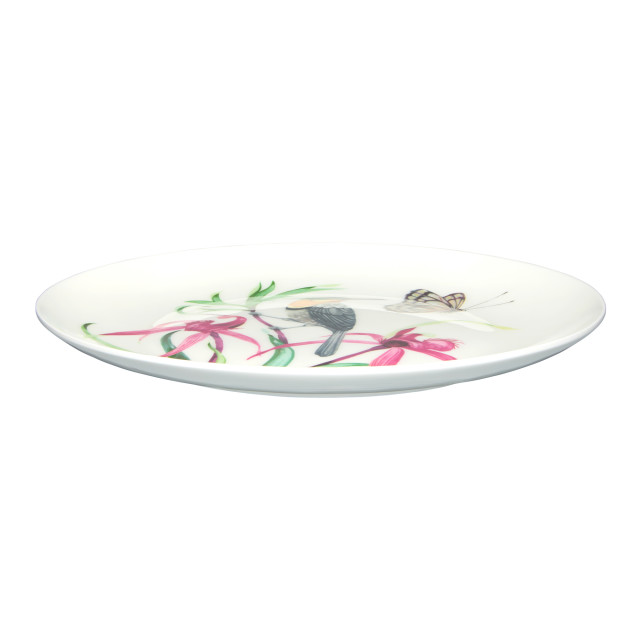 Maxwell & Williams Eloise Short Lyric Coupe Plate, 20cm - Spinebill Honeyeater angle