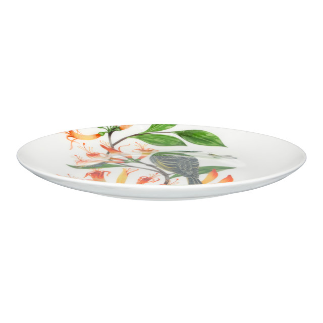 Maxwell & Williams Eloise Short Lyric Coupe Plate, 20cm - Regent Honeyeater angle