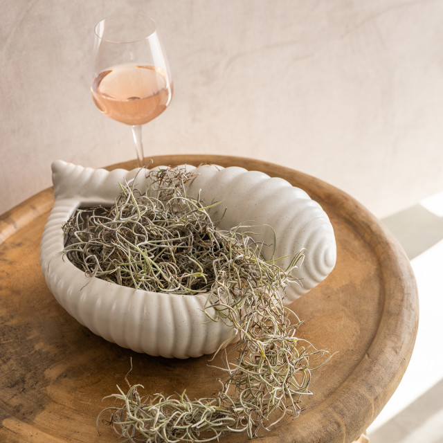 Thread Office Ceramic Shell Decorative Bowl on a side table with a glass of wine