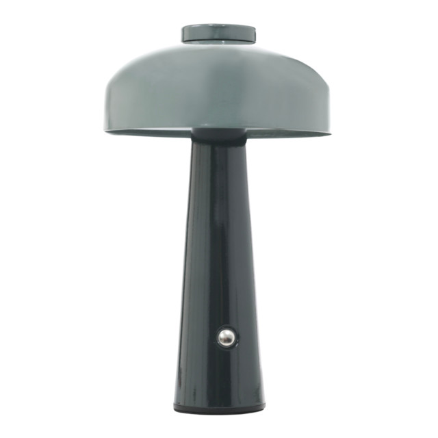 Arc & Hue Poppy Portable & Rechargeable LED Lamp - Dusty Green