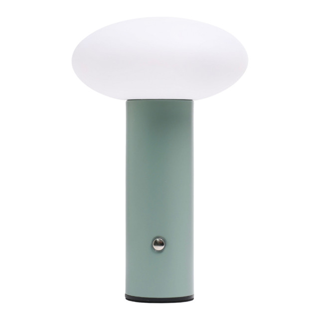 Arc & Hue Oliver Portable & Rechargeable LED Lamp - Mint