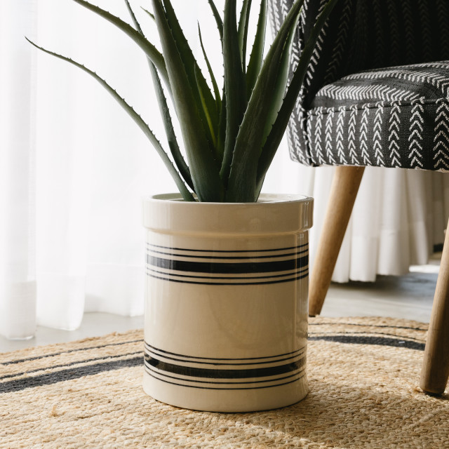 Lifestyle image of Thread Office Black Variegated Stripe Ceramic Planter