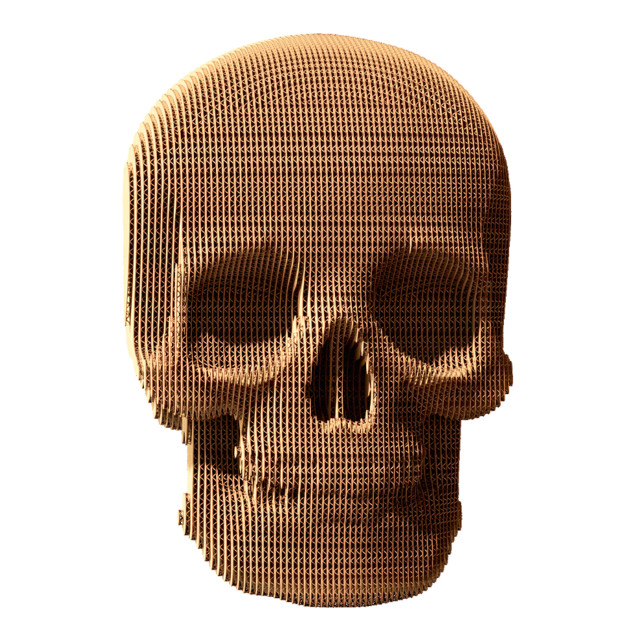 Cartonic 3D Skull Sculpture Puzzle angle