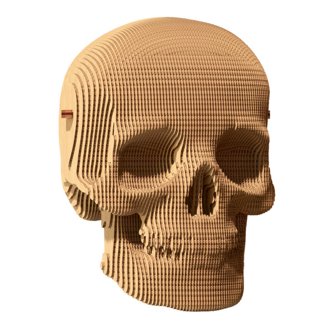 Cartonic 3D Skull Sculpture Puzzle angle
