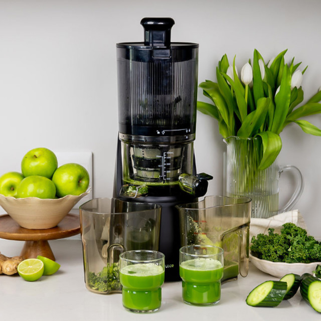 OmniBlend OmniJuice Slow Juicer with fruits, vegetables and juice