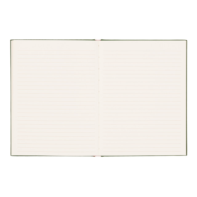Designworks Ink A Dopo Snake Ruled Journal angle