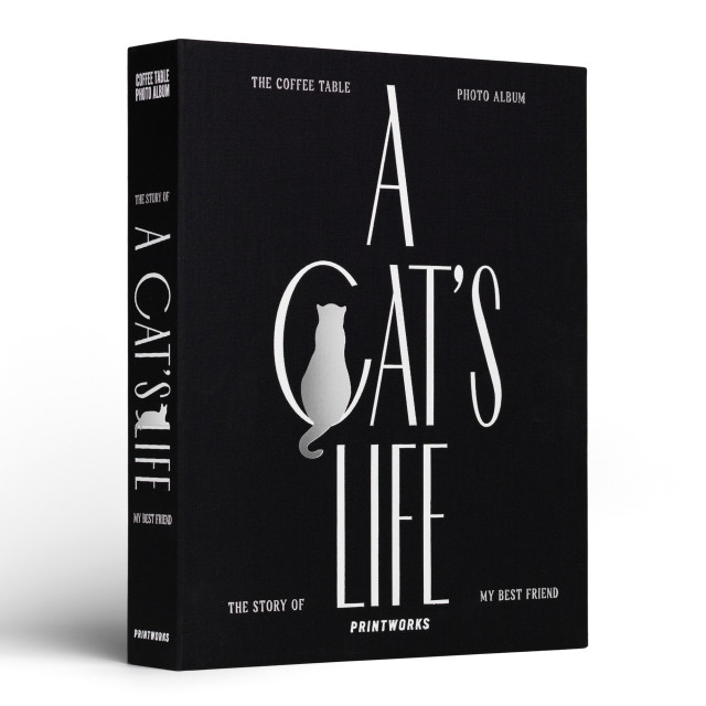 Printworks A Cat's Life Blank Photo Album