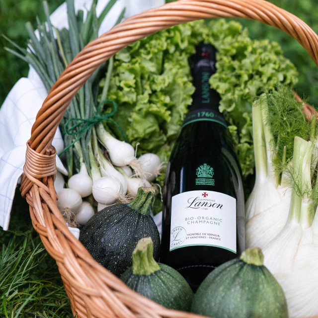 Champagne Lanson Le Green Bio-Organic, 750ml in a basket
