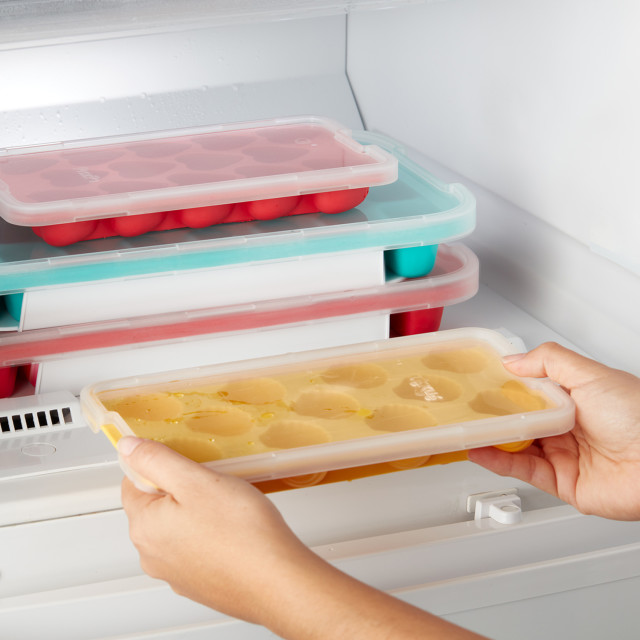 Lekue Shell Shaped Ice Cube Tray with Lid put in a freezer