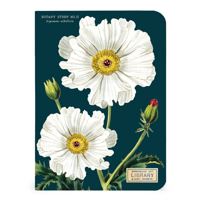 Cavallini & Co Botany Mini Notebook Set, Pack of 3 detail