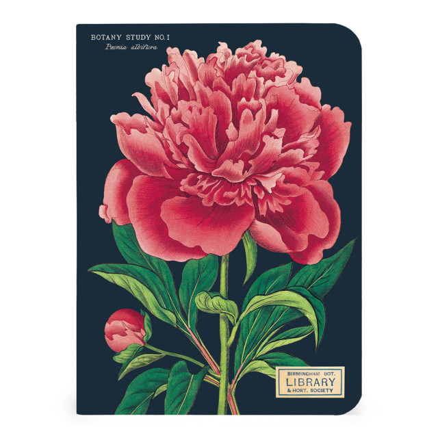Cavallini & Co Botany Mini Notebook Set, Pack of 3 detail