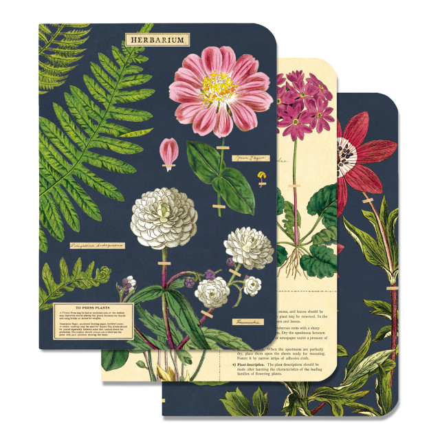 Cavallini & Co Herbarium Mini Notebook Set, Pack of 3