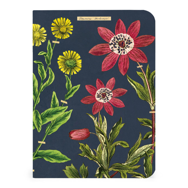 Cavallini & Co Herbarium Mini Notebook Set, Pack of 3 detail
