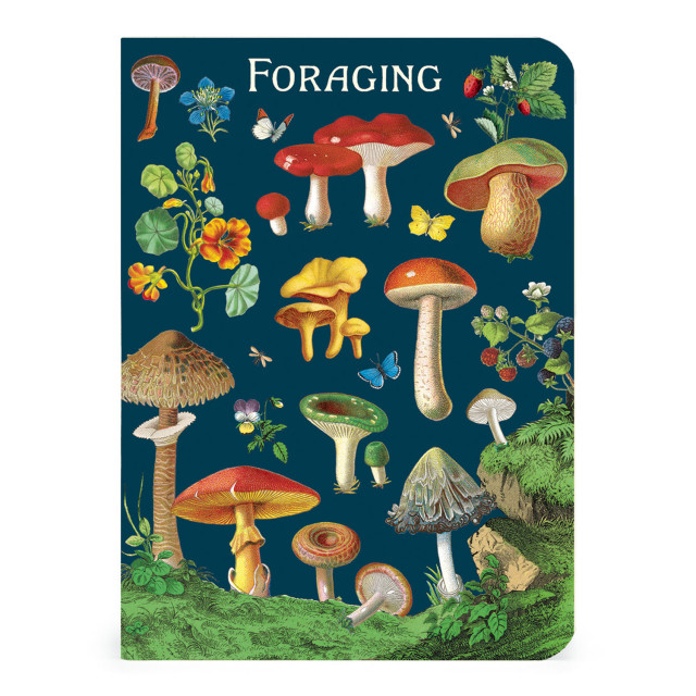Cavallini & Co Foraging Mini Notebook Set, Pack of 3 detail