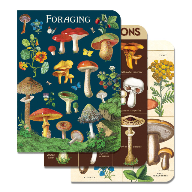 Cavallini & Co Foraging Mini Notebook Set, Pack of 3