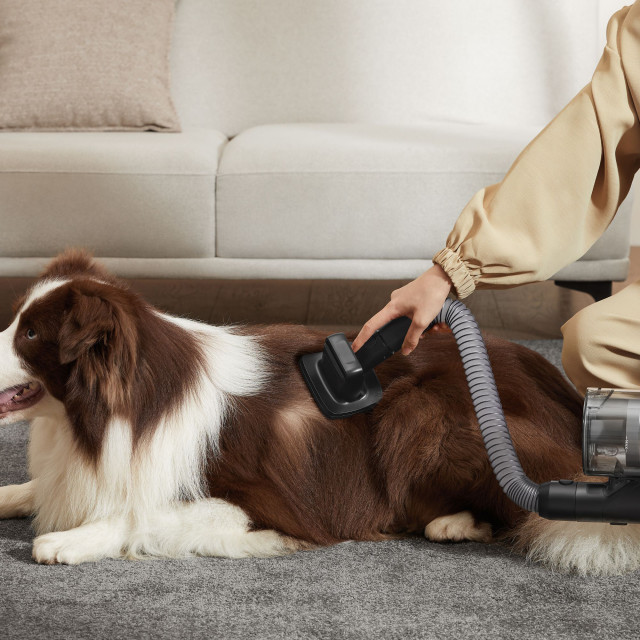 Dreame Z30 Cordless Stick Vacuum Cleaner