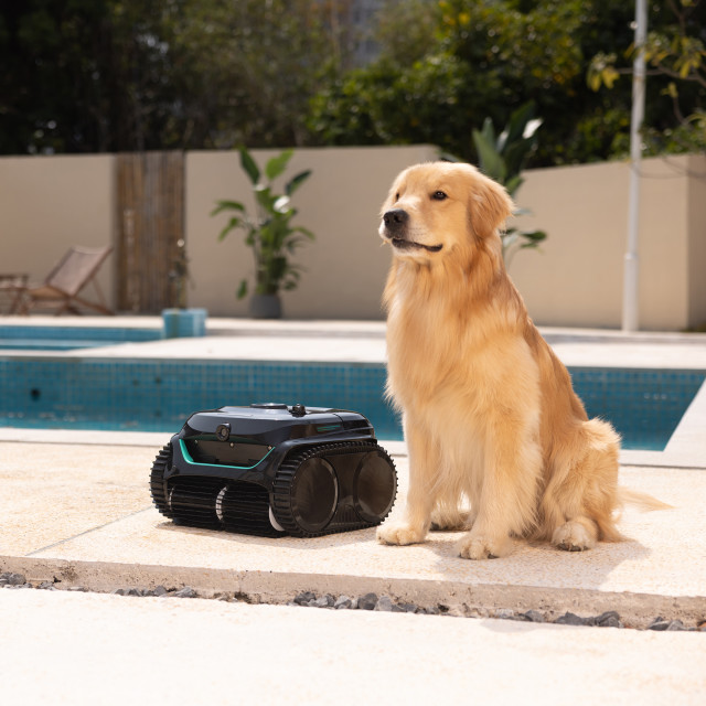 Wybot C2 Pro Vision Smart AI Cordless Robotic Pool Cleaner