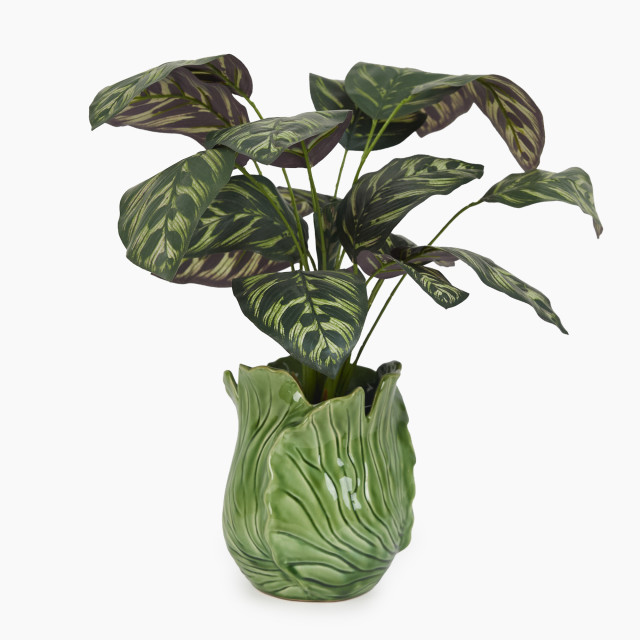 Thread Office Cabbage Leaf Ceramic Planter