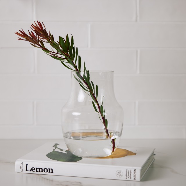 Thread Office Teardrop Clear Glass Vase - Short