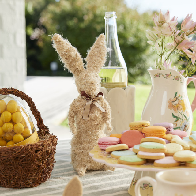 Andrea's Topiaries Natural Pampas Sitting Rabbit - Large