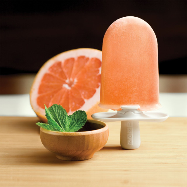Zoku Quick Pops Recipe Book