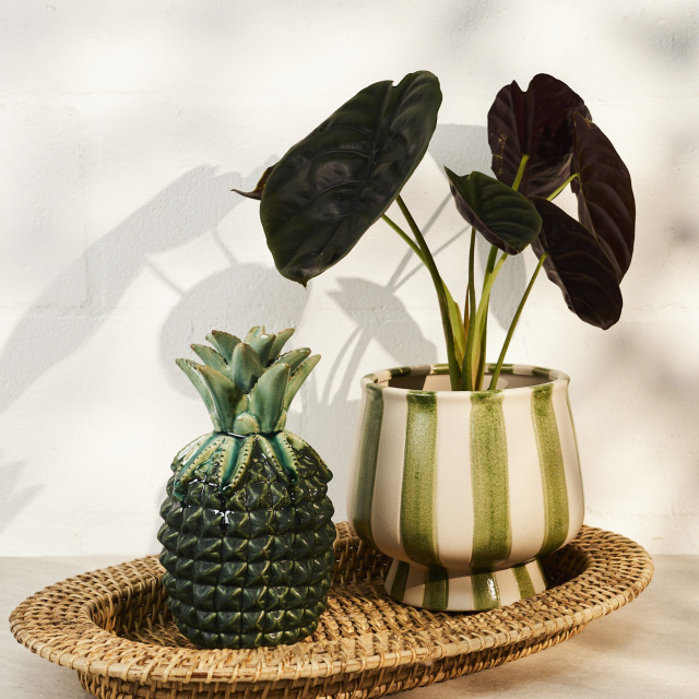 Thread Office Ceramic Green Stripe Planter