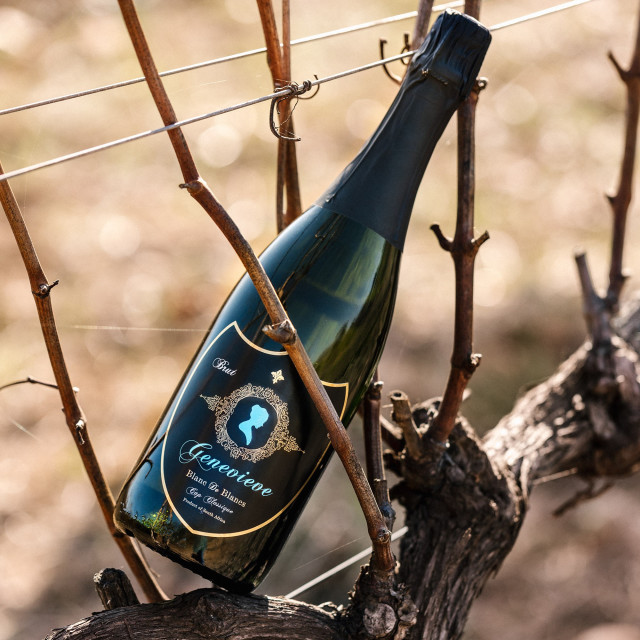 Ex Animo Genevieve Blanc des Blancs Cap Classique 2021, 750ml