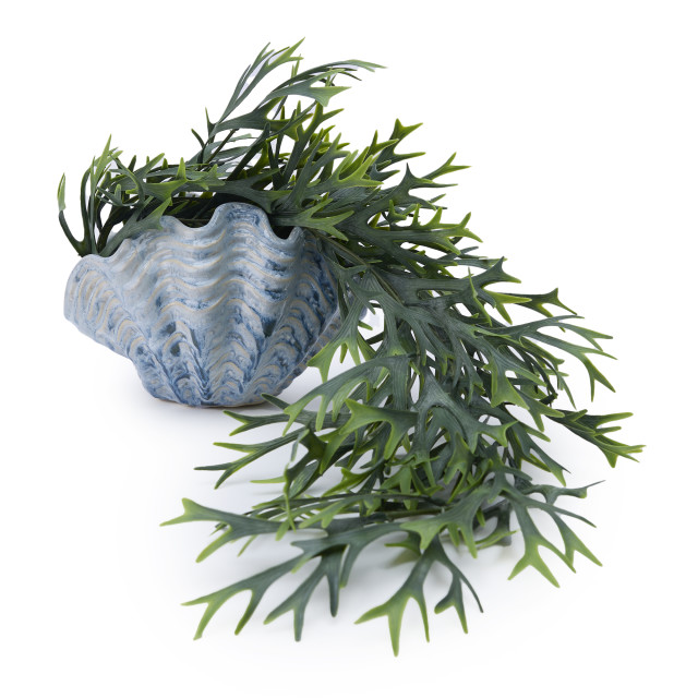 Thread Office Reactive Glaze Clam shell Vase, 20cm