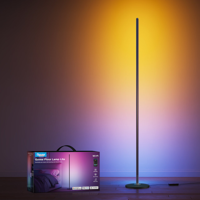 Govee Smart Basic Floor Lamp