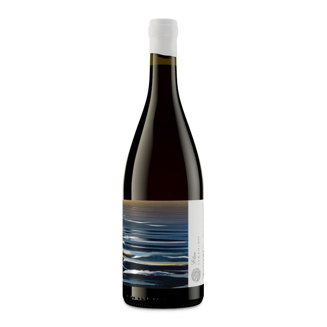Trizanne Elim Syrah 2024, 750ml