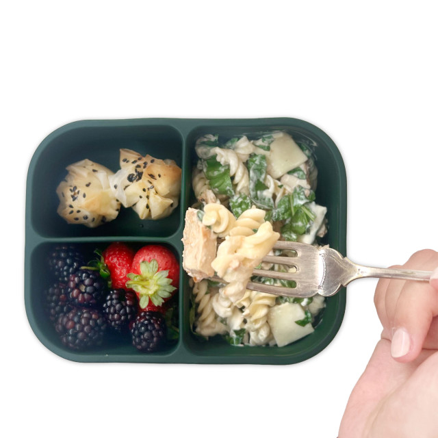 MicroGarden 3-Portion Silicone Bento Lunchbox - Moss