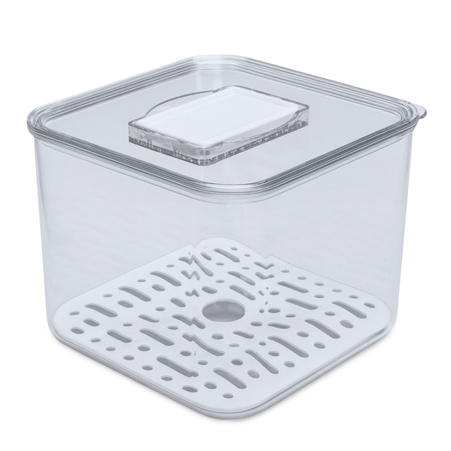 Trendz Of Today Fruit & Vegetable Fridge Storage Container - Small